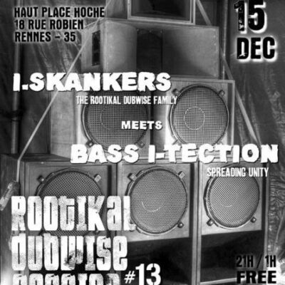 ROOTIKAL DUBWISE SESSION 13 BASS I TECTION I SKANKERS